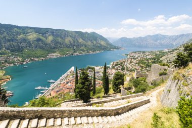 Kotor eski şehir manzarası. Kırmızı kiremitli çatılar ve defne Güney fiyort