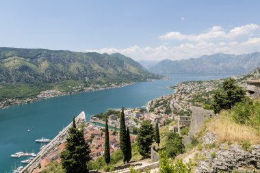 Kotor eski şehir manzarası. Kırmızı kiremitli çatılar ve defne Güney fiyort