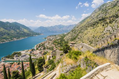 Kotor eski şehir manzarası. Kırmızı kiremitli çatılar ve defne Güney fiyort