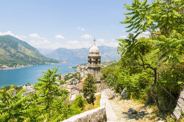 Walled City of Saint John in the town of Kotor. The city walls in the mountains and the stairs going up. Ruins of old wall — Stock Photo, Image