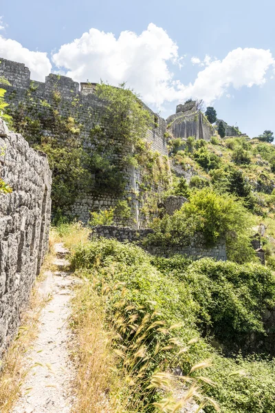 Ciudad amurallada de San Juan en la ciudad de Kotor. Las murallas de la ciudad en las montañas y las escaleras subiendo. Ruinas de viejo muro — Foto de Stock