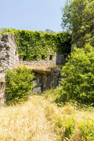 Otoczone murami miasto Świętego Jana w mieście kotor. mury w górach i idąc w górę schodami. ruiny starego muru — Zdjęcie stockowe