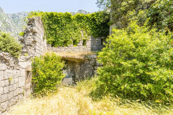 Ciudad amurallada de San Juan en la ciudad de Kotor. Las murallas de la ciudad en las montañas y las escaleras subiendo. Ruinas de viejo muro — Foto de Stock