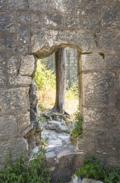 Ciudad amurallada de San Juan en la ciudad de Kotor. Las murallas de la ciudad en las montañas y las escaleras subiendo. Ruinas de viejo muro —  Fotos de Stock