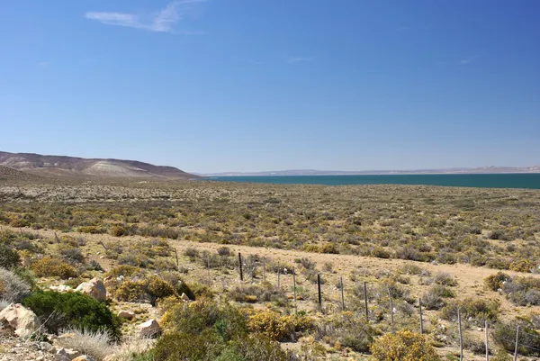 Pampa de la Patagonia —  Fotos de Stock