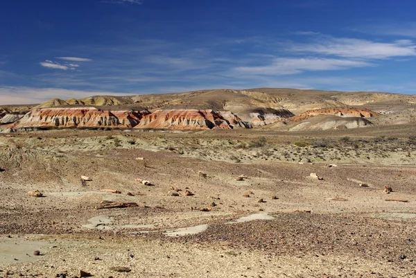 Patagonya'da manzara