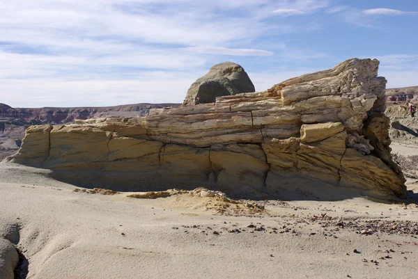 Petrified wood in Patagonia — Stock Photo, Image