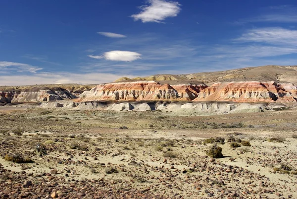 Landschap in Patagonië — Stockfoto