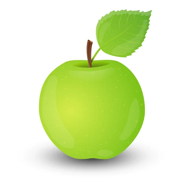 Зеленое яблоко изолированы на белом фоне. — стоковый вектор