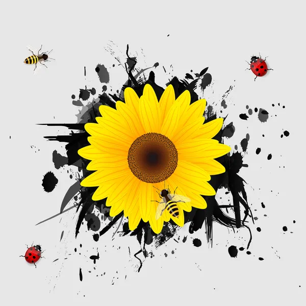 Tournesol sur fond noir. — Image vectorielle