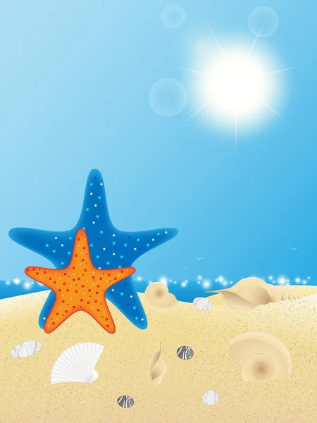 Conchas y estrellas de mar sobre fondo de arena . — Vector de stock