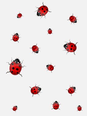Ladybirds.