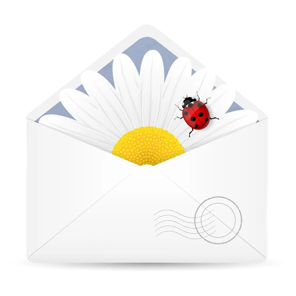 Enveloppe ouverte avec fleur de camomille et coccinelle — Image vectorielle