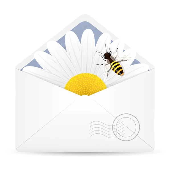 用蜜蜂和洋甘菊花打开信封 — 图库矢量图片