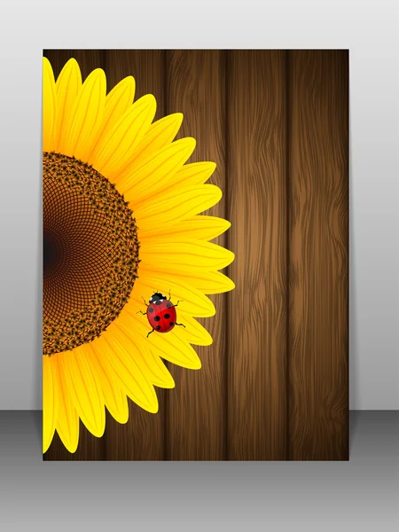 Girasol y mariquita sobre fondo de madera . — Vector de stock