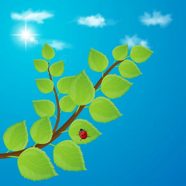 Hintergrund mit grünen Blättern und Himmel — Stockvektor