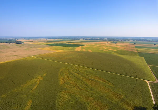 Vista aérea de campos agrícolas e árvores no centro-oeste de Missouri no início da manhã — Fotografia de Stock