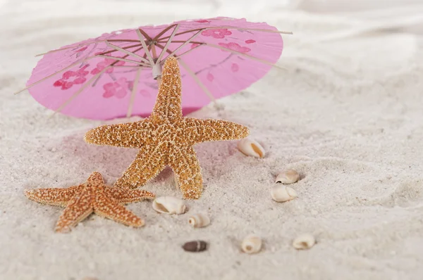 Star fish under umbrella on the beach — Stock Photo, Image