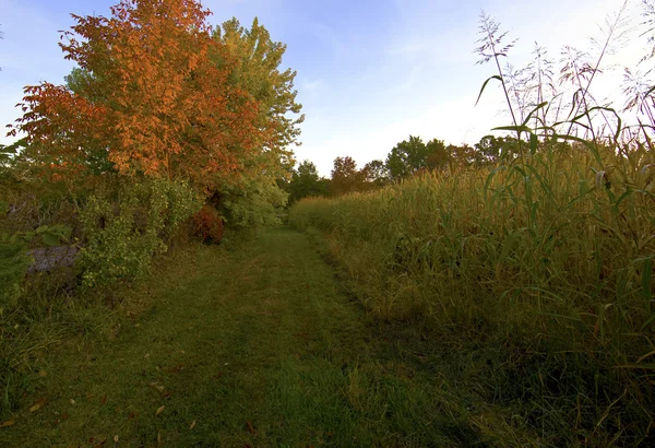 Höstens road — Stockfoto