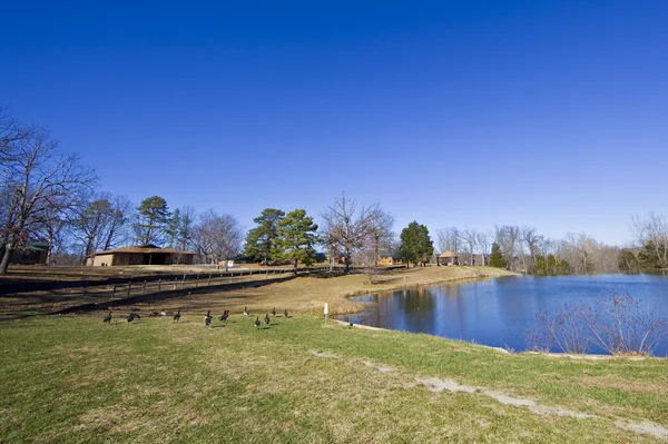 Small lake — Stock Photo, Image