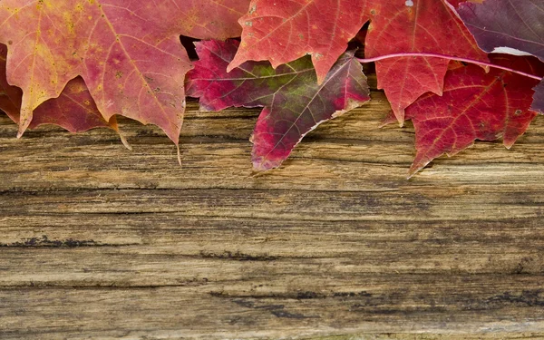 Foglie autunnali sullo sfondo di un vecchio pavimento in legno — Foto Stock