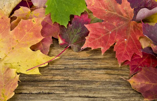 Herfstbladeren op de achtergrond van een oude houten vloer — Stockfoto