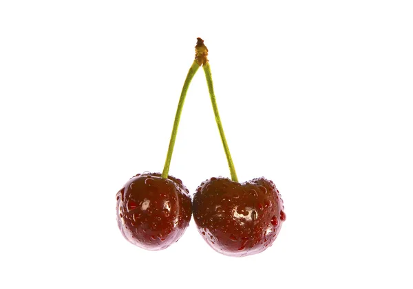 Cerises isolées sur blanc — Photo