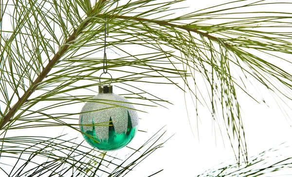 Kerstversiering op pine branch geïsoleerd op wit — Stockfoto