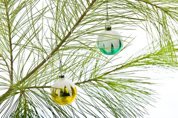 Ozdoby świąteczne na pine oddział na białym tle — Zdjęcie stockowe