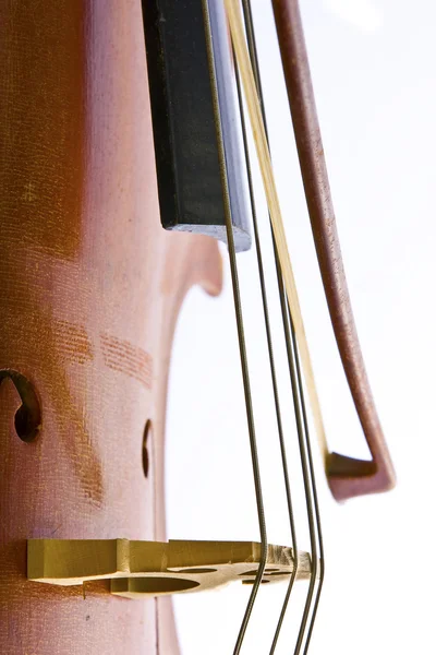 Régi hegedű — Stock Fotó
