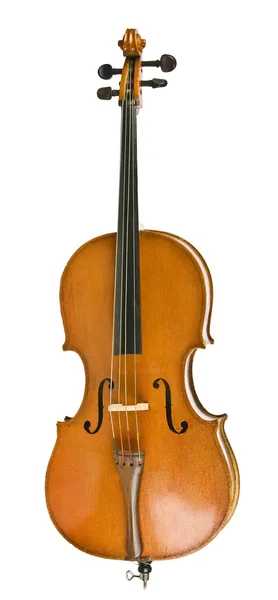 Vecchio violino — Foto Stock