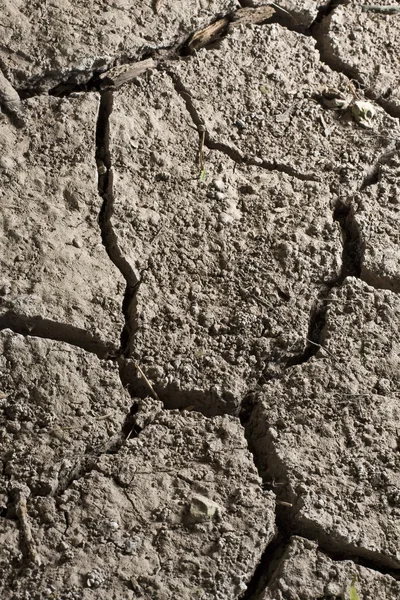 Gebarsten weg beton close-up — Stockfoto