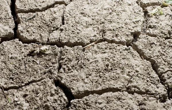 Repedt road beton közelről — Stock Fotó