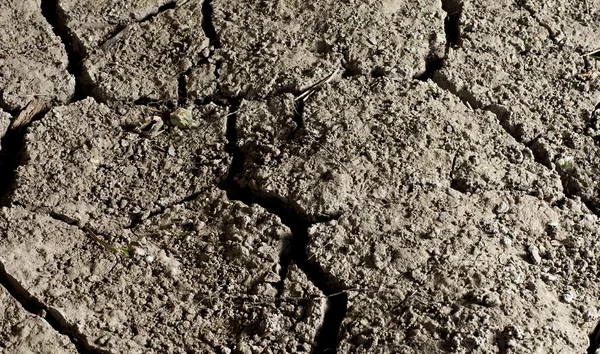 Cracked road concrete close up — Stock Photo, Image