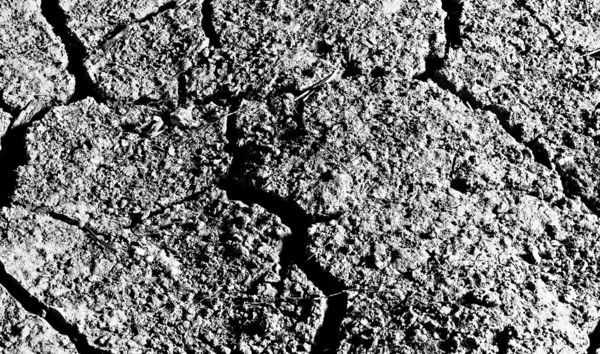 Cracked road concrete close up — Stock Photo, Image