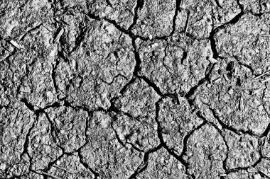 kırık yol beton yakın çekim