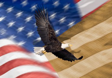 dikey çizgileri ve dar alan derinliği Amerikan bayrağı önünde uçan kel kartal, yakın çekim