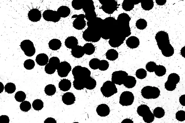 黒のインク滴 — ストック写真