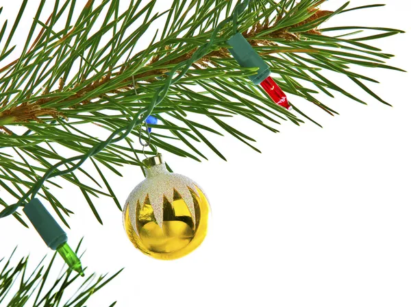 Decoraciones navideñas sobre rama de pino aislada en blanco —  Fotos de Stock