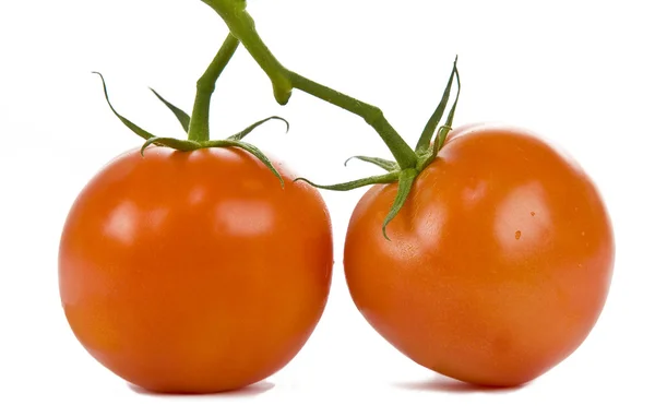 Tomates rojos aislados en blanco — Foto de Stock