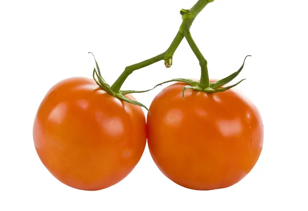 Tomates rojos aislados en blanco —  Fotos de Stock