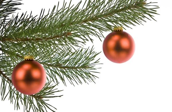 Decorações de Natal no ramo de pinho isolado em branco — Fotografia de Stock