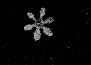 Soyut arkaplanda doğal kar taneleri