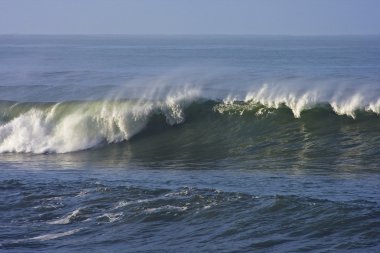 sabah erken california dalga