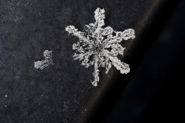 Smält snöflinga — Stockfoto