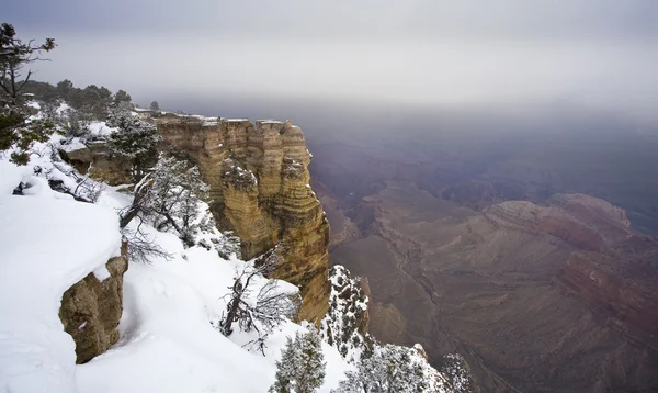 Grande canyon neve — Fotografia de Stock
