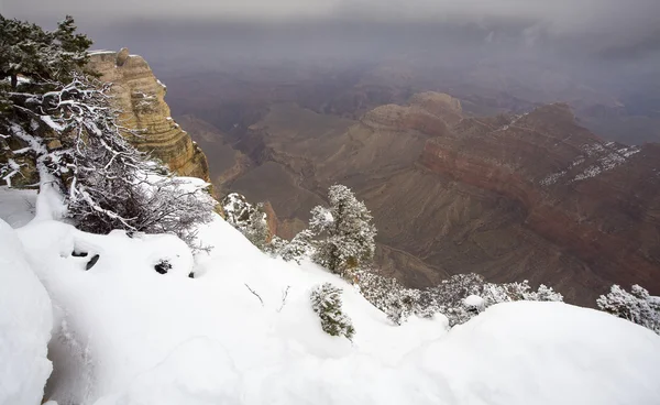 Grande canyon neve — Fotografia de Stock