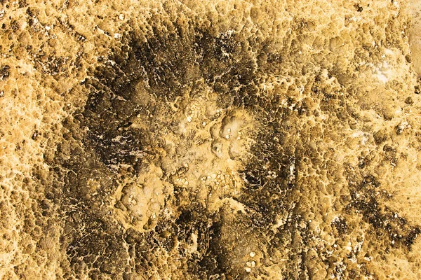 Dry earth texture — Stock Photo, Image
