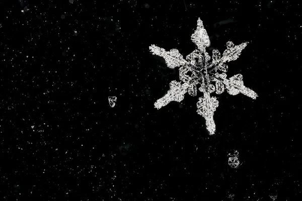Естественная снежинка на абстрактном фоне — стоковое фото