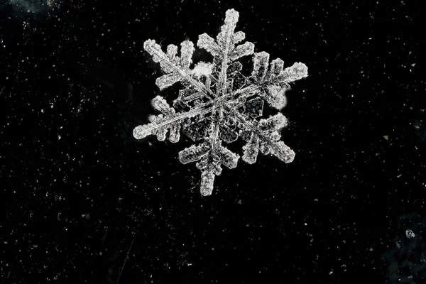 Naturlig snö flingor på abstrakt bakgrund — Stockfoto